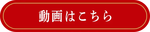 動画を見る